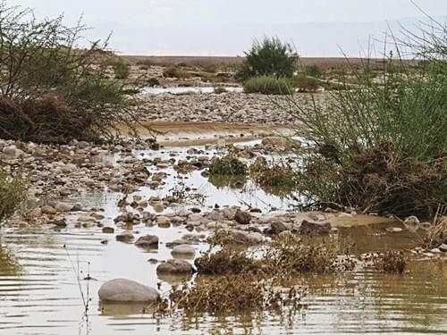 דרכים במדבר